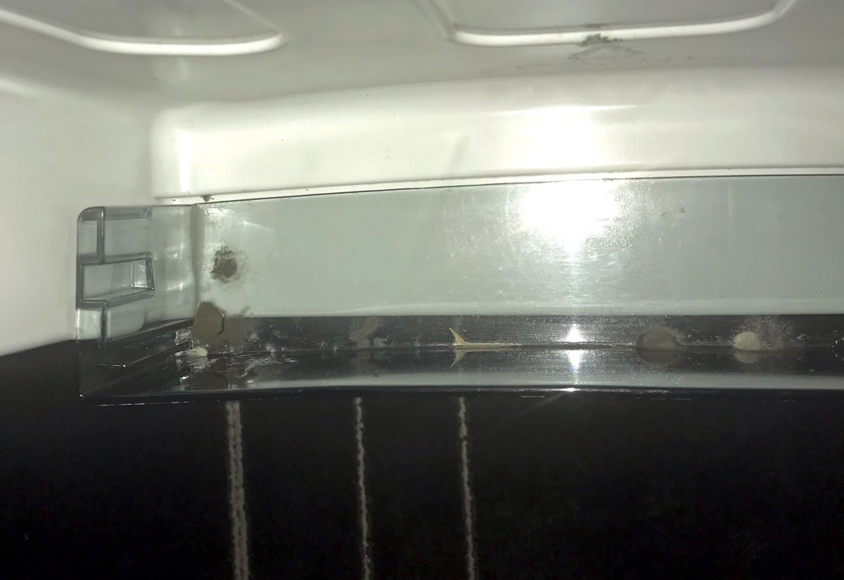 davelavery's tweet photo. Hmm. At what point do I complain that the black mold in the mini-fridge in my hotel room is really not acceptable?
#WorkTravelLife https://t.co/BLlQPeKvXJ