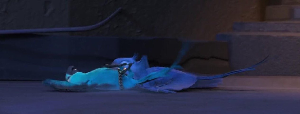 One Less Than Perfect Shot on Twitter: 