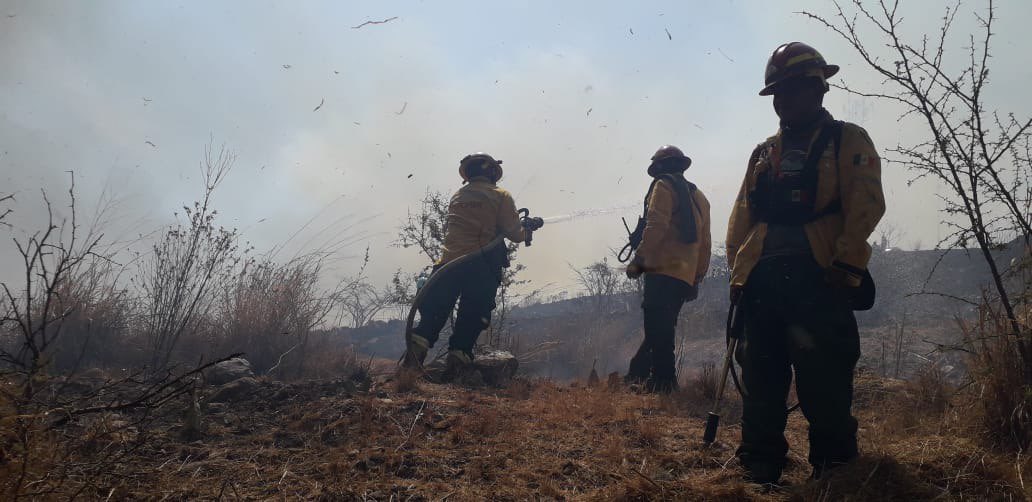 SemadetJal's tweet photo. #Actualización

Se reporta liquidado #Incendio no forestal en el paraje Las Cañadas, #Zapopan.

Combatieron 35 elementos de la #Samadet y @UMPCyBZ. https://t.co/A4Y5jHxqyR