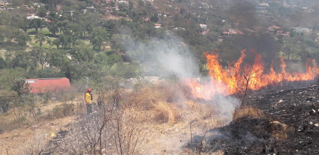 SemadetJal's tweet photo. #Actualización

Se reporta liquidado #Incendio no forestal en el paraje Las Cañadas, #Zapopan.

Combatieron 35 elementos de la #Samadet y @UMPCyBZ. https://t.co/A4Y5jHxqyR