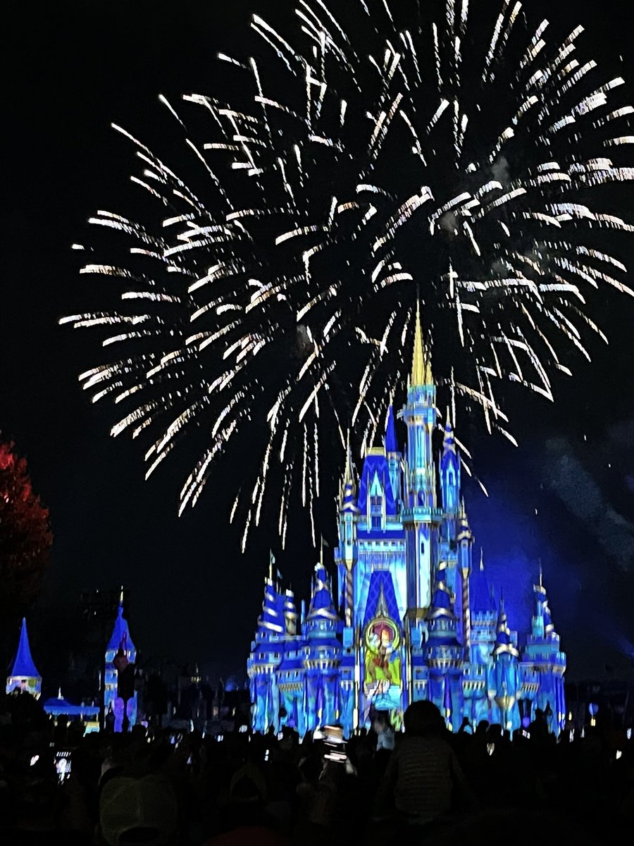 KevinSMason's tweet photo. The firework show was pretty spectacular. @WaltDisneyWorld #50Anniversary https://t.co/DVUflSmWww