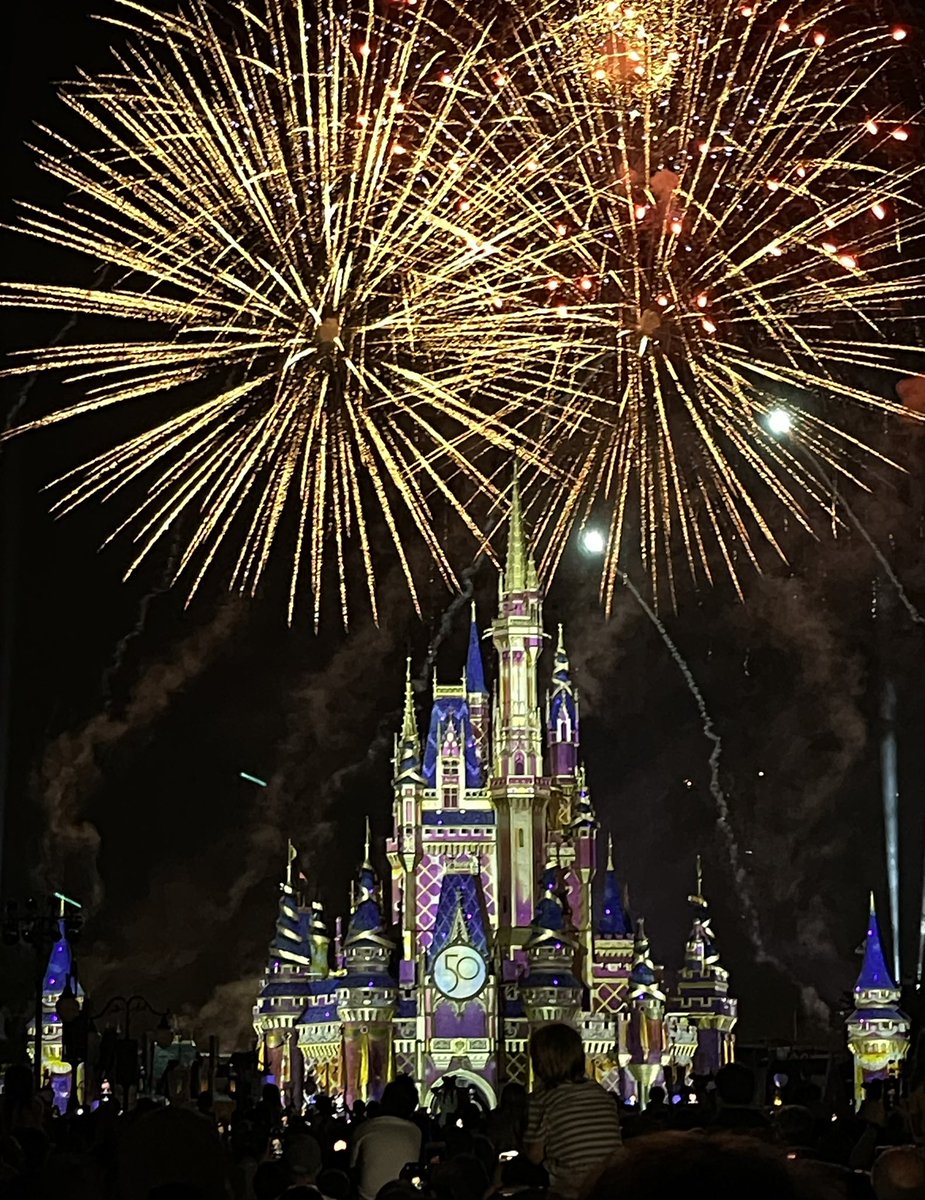 The firework show was pretty spectacular. <a href="/WaltDisneyWorld/">Walt Disney World</a> #50Anniversary