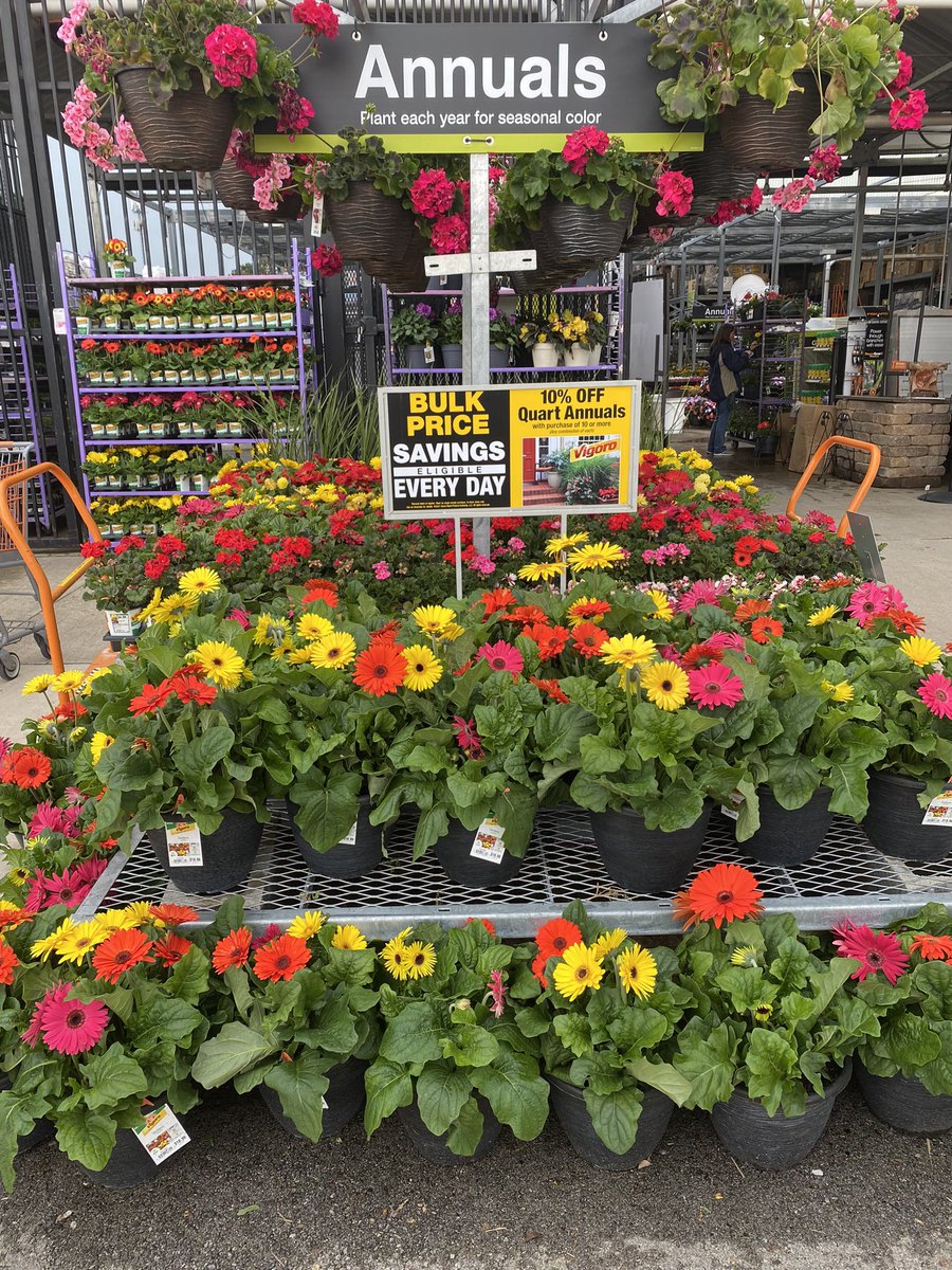 suefrombell's tweet photo. Pop in Centerville Home Depot 3854 for some beautiful popping color! https://t.co/mF5umr01Wt