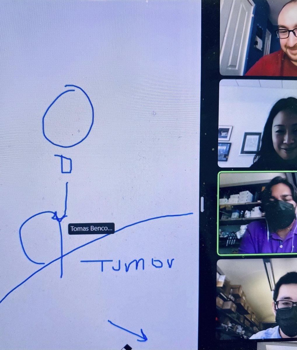 Dr. Carolyn Lee, MD/PhD tweet media