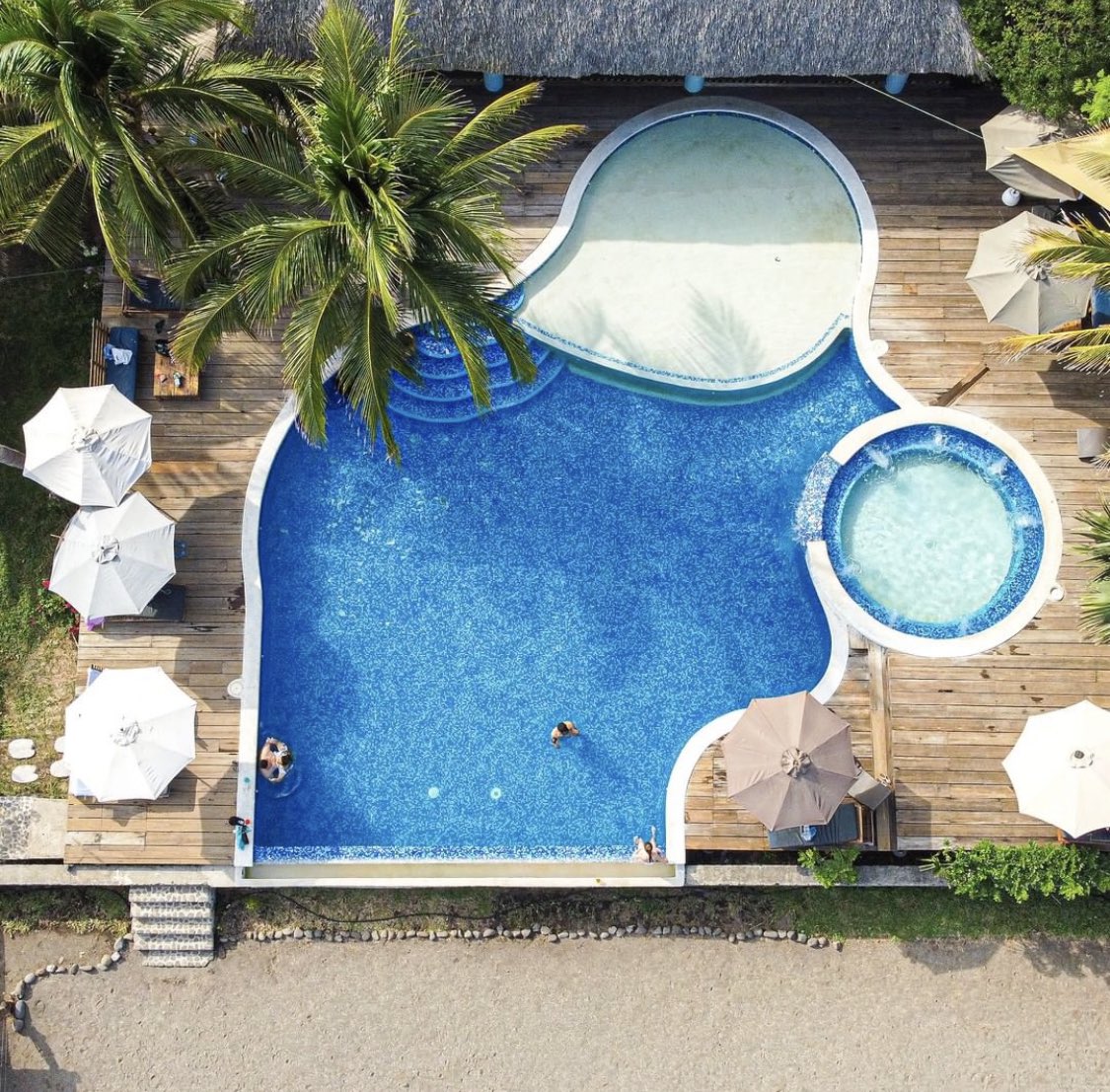 Frozen Frendz Club tweet media