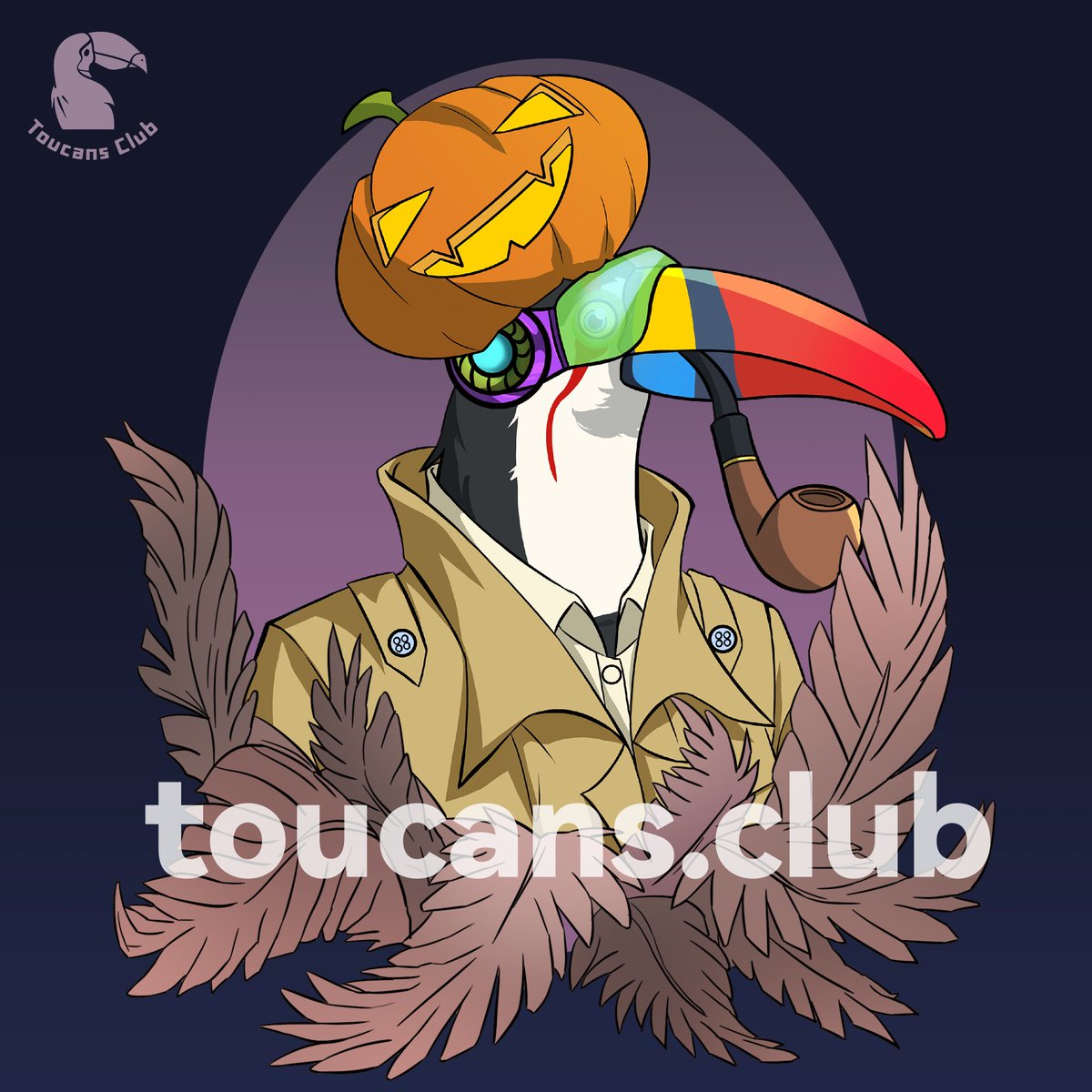 Toucans Club tweet media