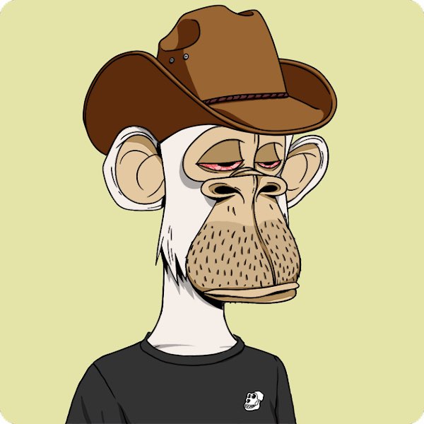 jstnrafale's tweet photo. got BORED and STONED @BoredApeYC 💯 https://t.co/fMOF2yPEVA