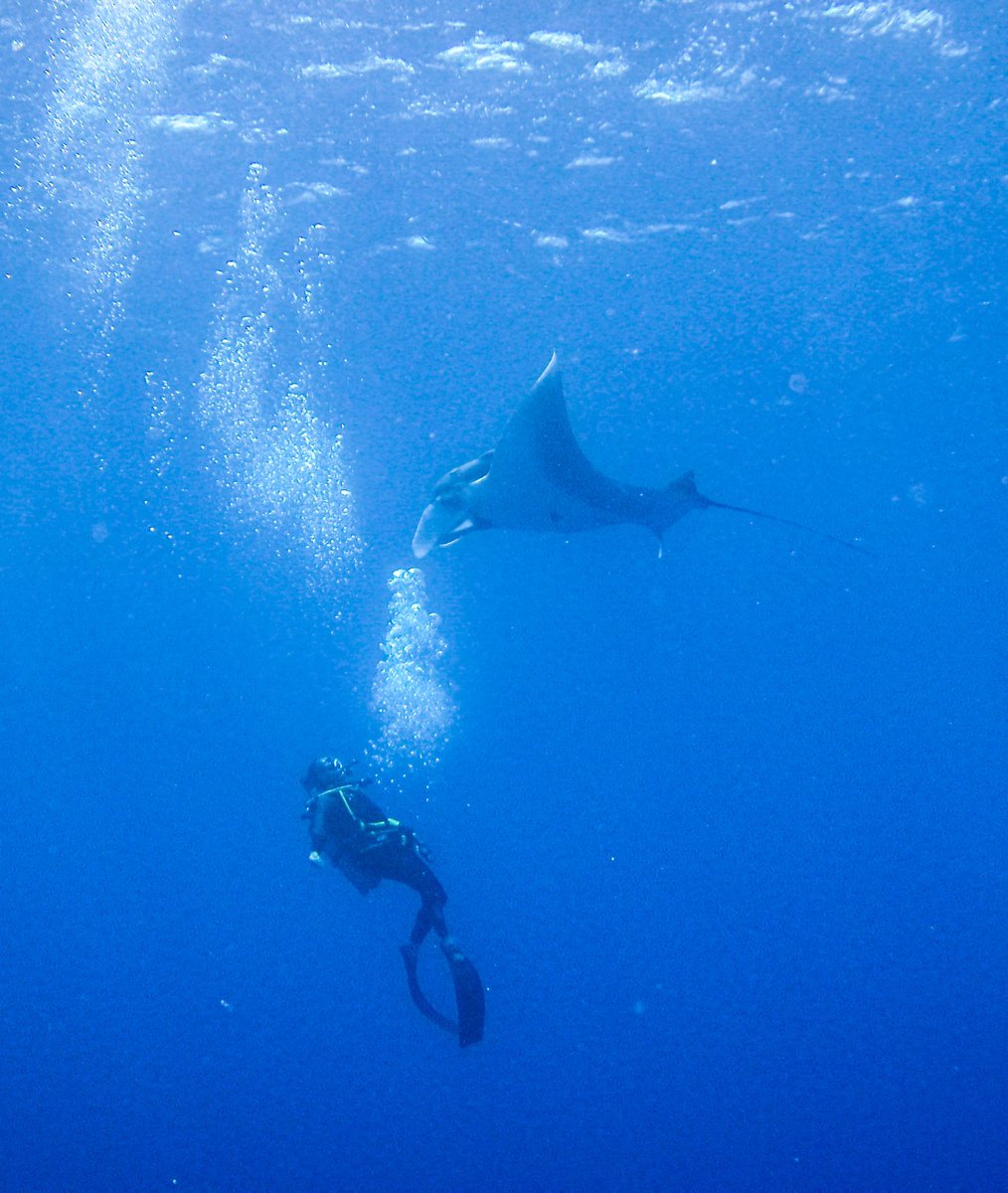 LethalCrysis's tweet image. 🖤