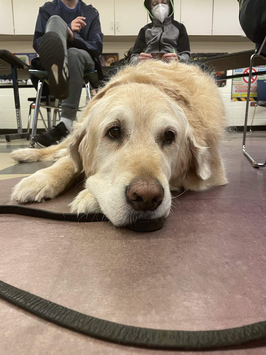 Catherine Brinkman tweet media