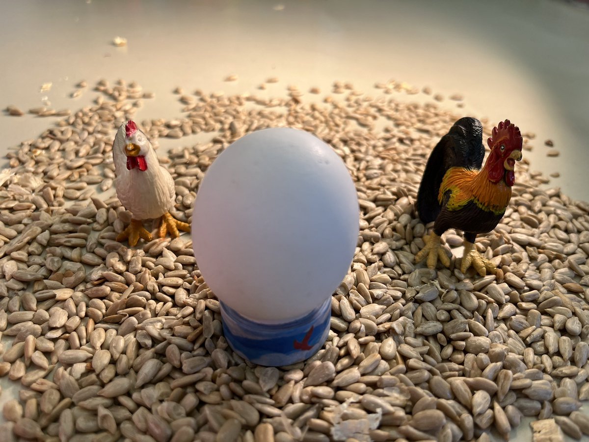 EOArtStudio's tweet photo. First graders’ photography of an EGG as the subject…  They explored composition, framing, background, and lighting. Some egg-cellent prints will be on display @BHBowersFarm soon! @EastoverEagles @BHS_VisualArts @bhschools https://t.co/56GUWx4roM