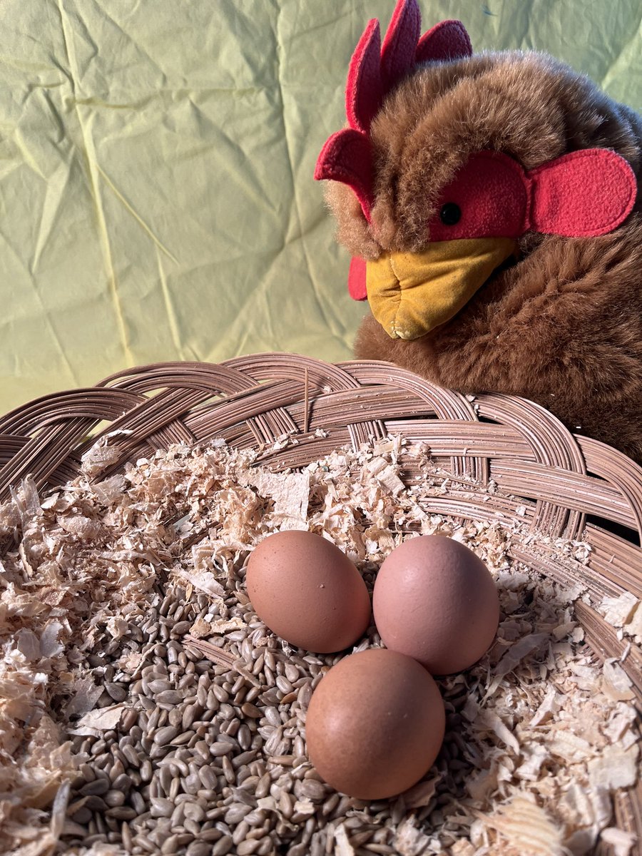 EOArtStudio's tweet photo. First graders’ photography of an EGG as the subject…  They explored composition, framing, background, and lighting. Some egg-cellent prints will be on display @BHBowersFarm soon! @EastoverEagles @BHS_VisualArts @bhschools https://t.co/56GUWx4roM