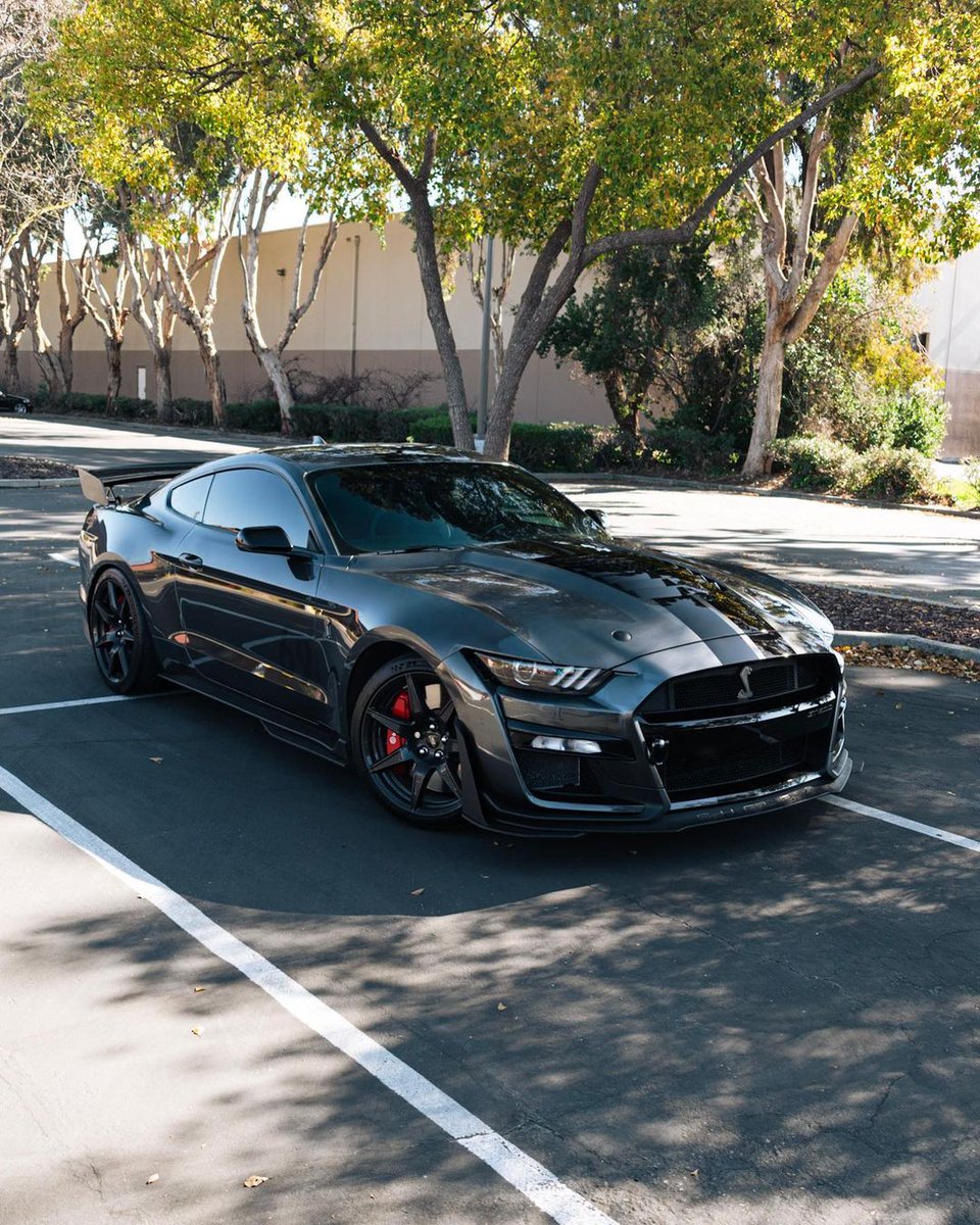 addict_auto's tweet photo. Ford Mustang Shelby GT500 🐍 https://t.co/fCBIhESPiE