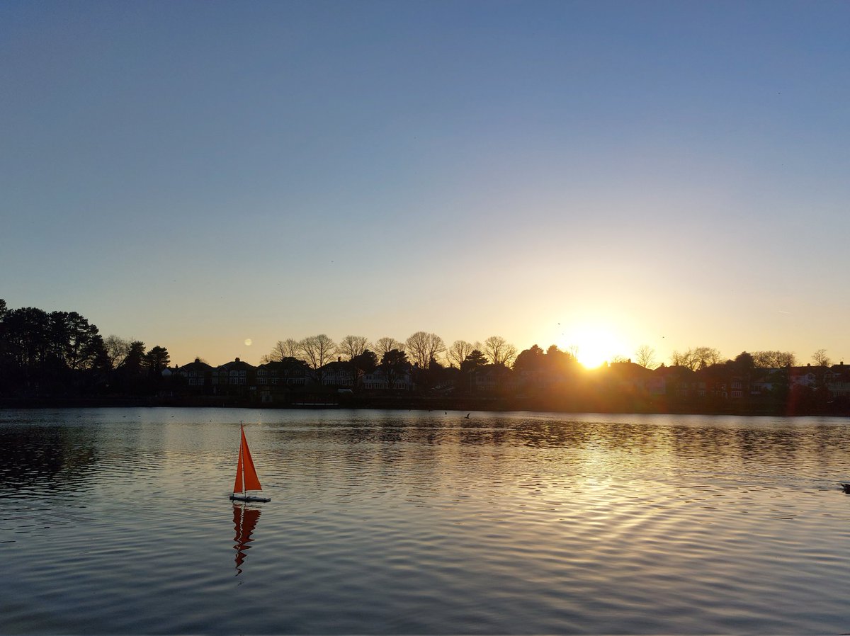 DimpleVerse tweet media