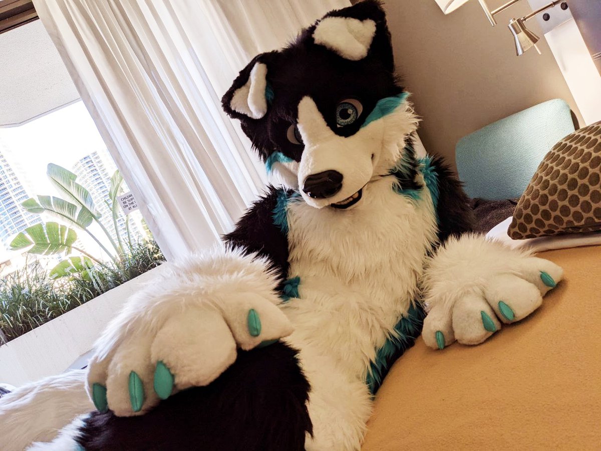 Heck!
I missed out on my first #FursuitFriday.
No matter, this bed space beside me is always available.  💙
Have a lovely weekend everyone. 
(Whilst I hide away recovering from covid)