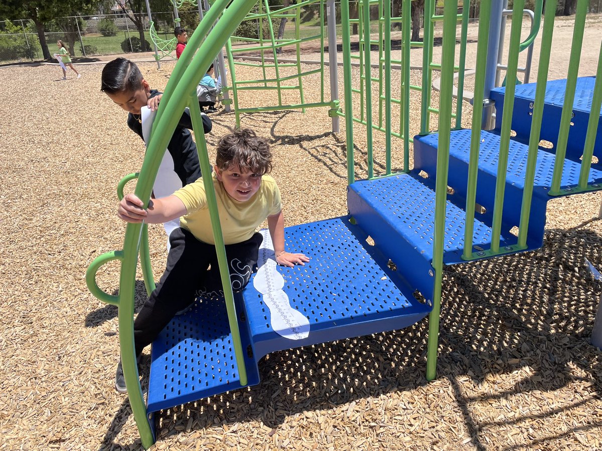 lorilavado's tweet photo. Measuring with inches, feet, and yards! @AvocadoGators @CajonValleyUSD https://t.co/67Pj46rlxu