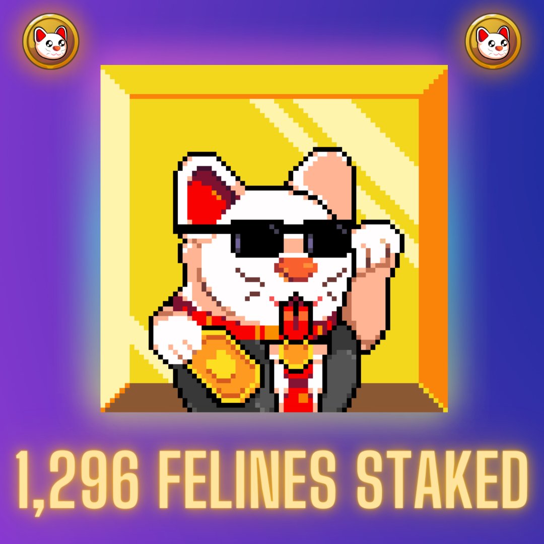 NEKO tweet media
