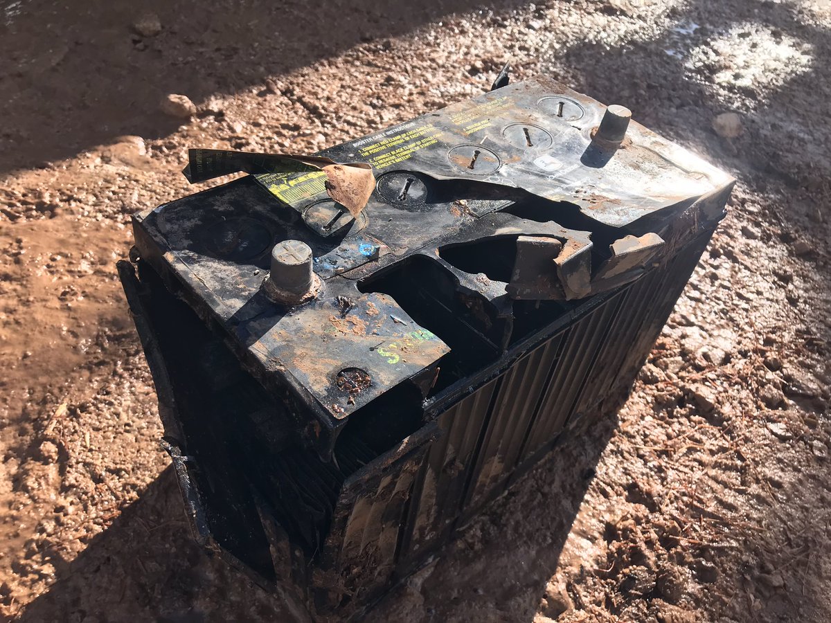 Linden Price tweet media