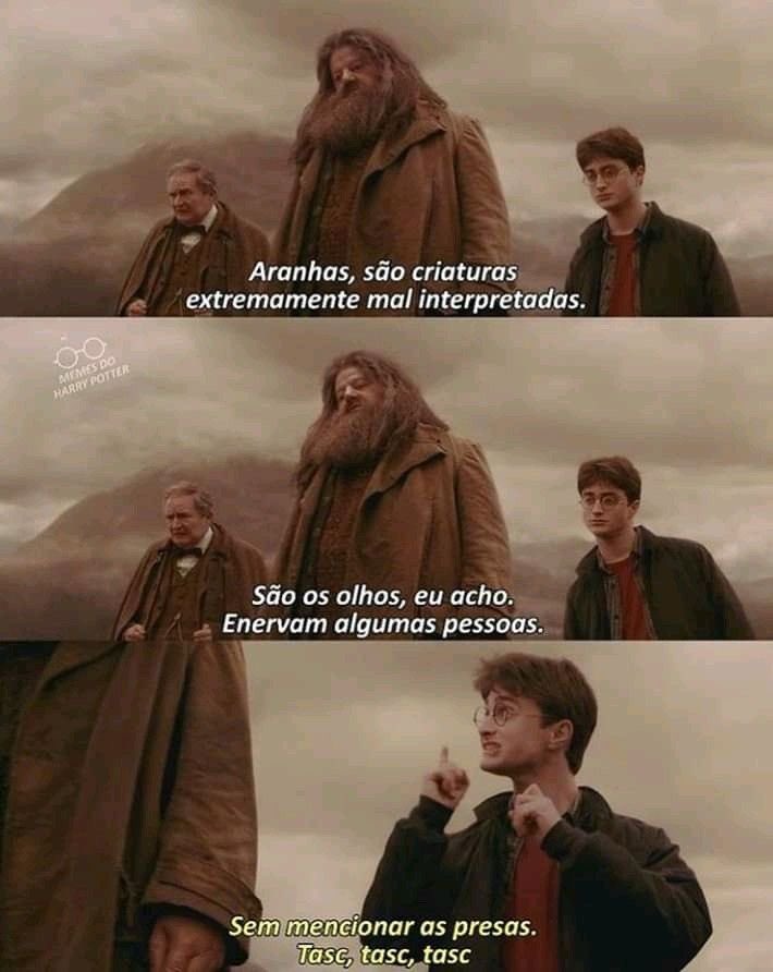 thiegonovais's tweet photo. Daniel Radcliffe entregou seu melhor momento em Harry Potter exatamente aqui. https://t.co/baA4u8Gydy