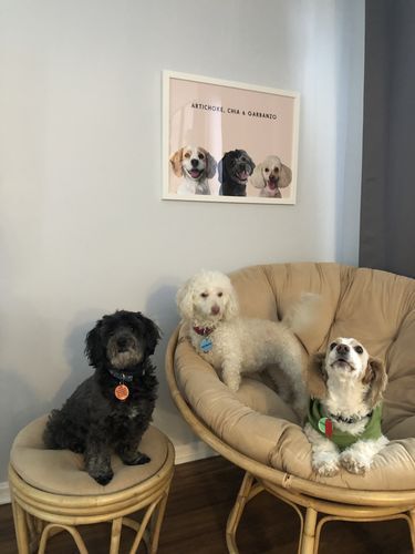 donutail's tweet photo. Are you struggling with the gift selection? Try a pet portrait as a special gift for your friend and family.
#dogslife #dogslifestyle #dogofmelbourne #dogsofsydney #dogsofbrisbane #dogslover #puppylife #puppylove #aussiedoggos #aussiedog #aussiecattledog https://t.co/cRnfc6pX2w