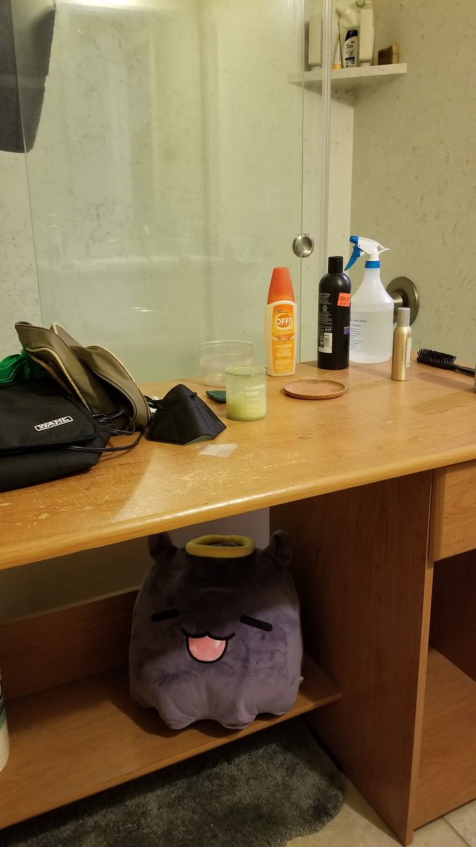 plasmarine0's tweet photo. @watsonameliaEN #BaethingAme 

For me, its the bathroom desk. I replaced my desk a few months ago and temporarily moved the old one into the bathroom. I rarely think about it unless a guest asks me why the hell I have a desk in the bathroom. Highly recommended. https://t.co/J3JeBWim4W
