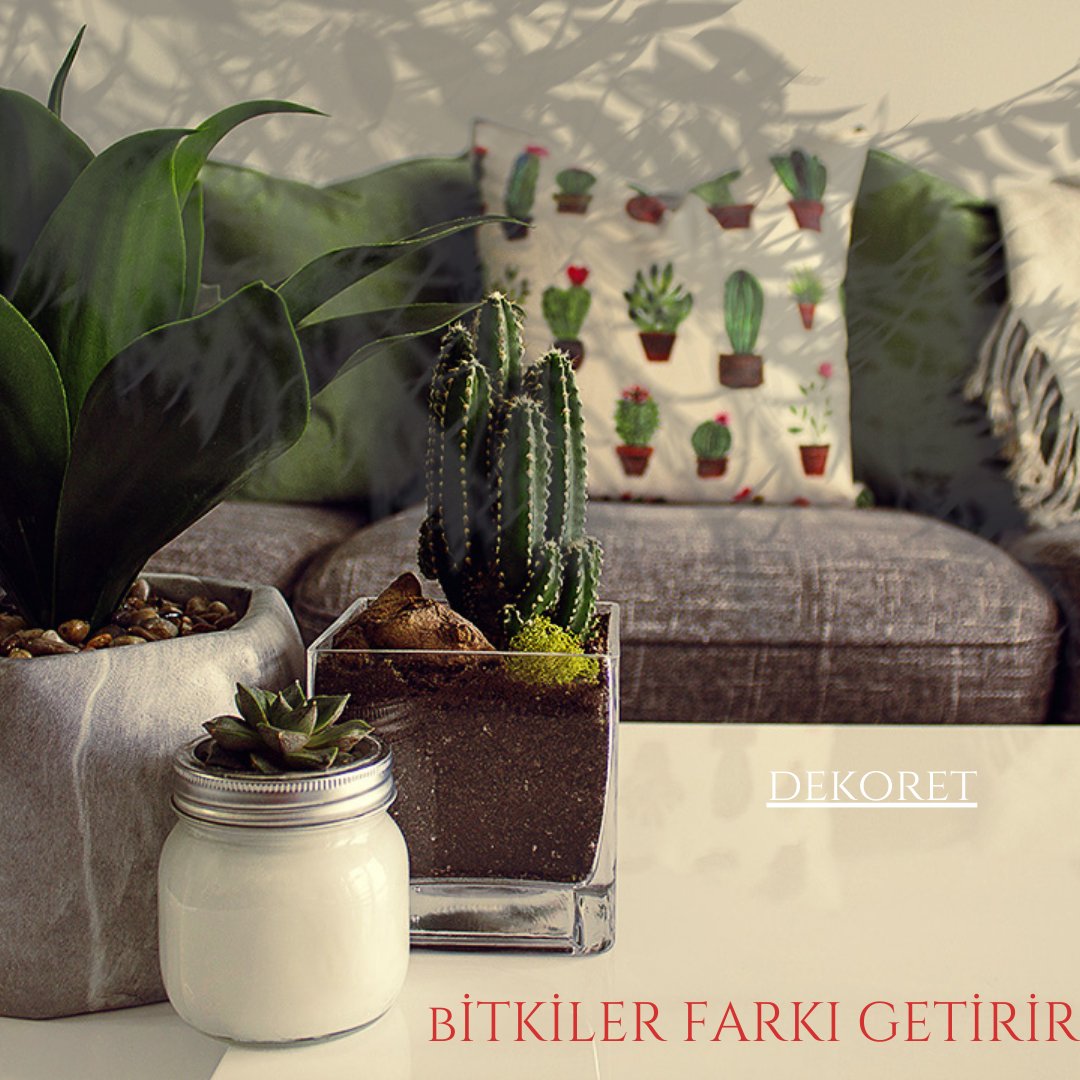 dekoretTR's tweet photo. 💕 BİTKİLER FARKI GETİRİR #bitkiler #çiçekler #dekoret #dekorasyon #mobilya #tasarim #icdizayn #ev #dekorasyonfikirleri #dekorasyononerisi #dekorasyonzevkim #dekorasyononerileri #mimar #homedecor 👏 https://t.co/93CGfJsKG9