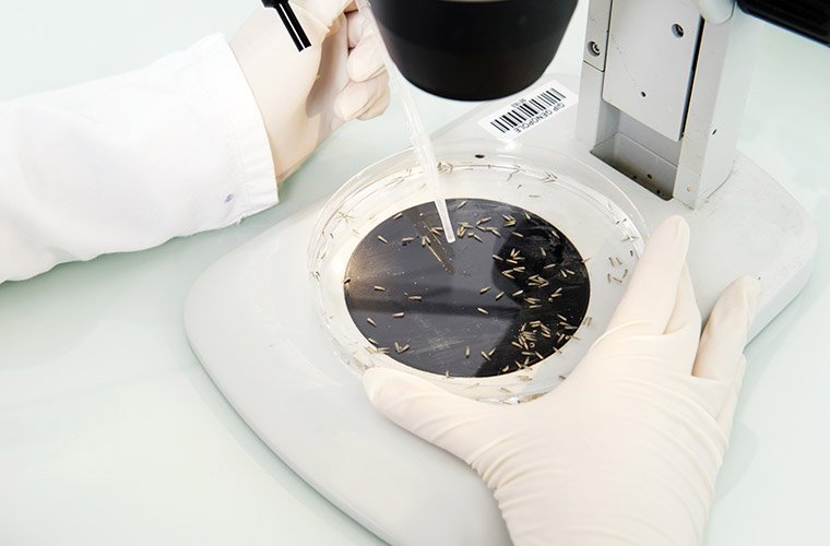 SNPTES's tweet photo. Rémunération des chargés de recherche : La hors échelle B (HEB) est enfin accessible aux chargés de recherche ! #CNRS #INSERM #INRAE #IRD #INRIA #IFSTTAR https://t.co/oNwzGLR12d https://t.co/aVrKghj4qq