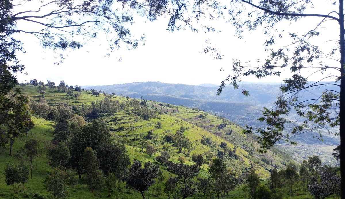 victornkindi's tweet photo. Road to @GakenkeDistrict #JanjaSector @RwandaNorth with #RwandaSwedenAlumni to support access to education for children with desabilities with Chairperson @oliveruwimana &amp; @JulianKayibanda
@emmandori #InclusiveEducation @gatjmv 1/1 https://t.co/wd7NEc62n7