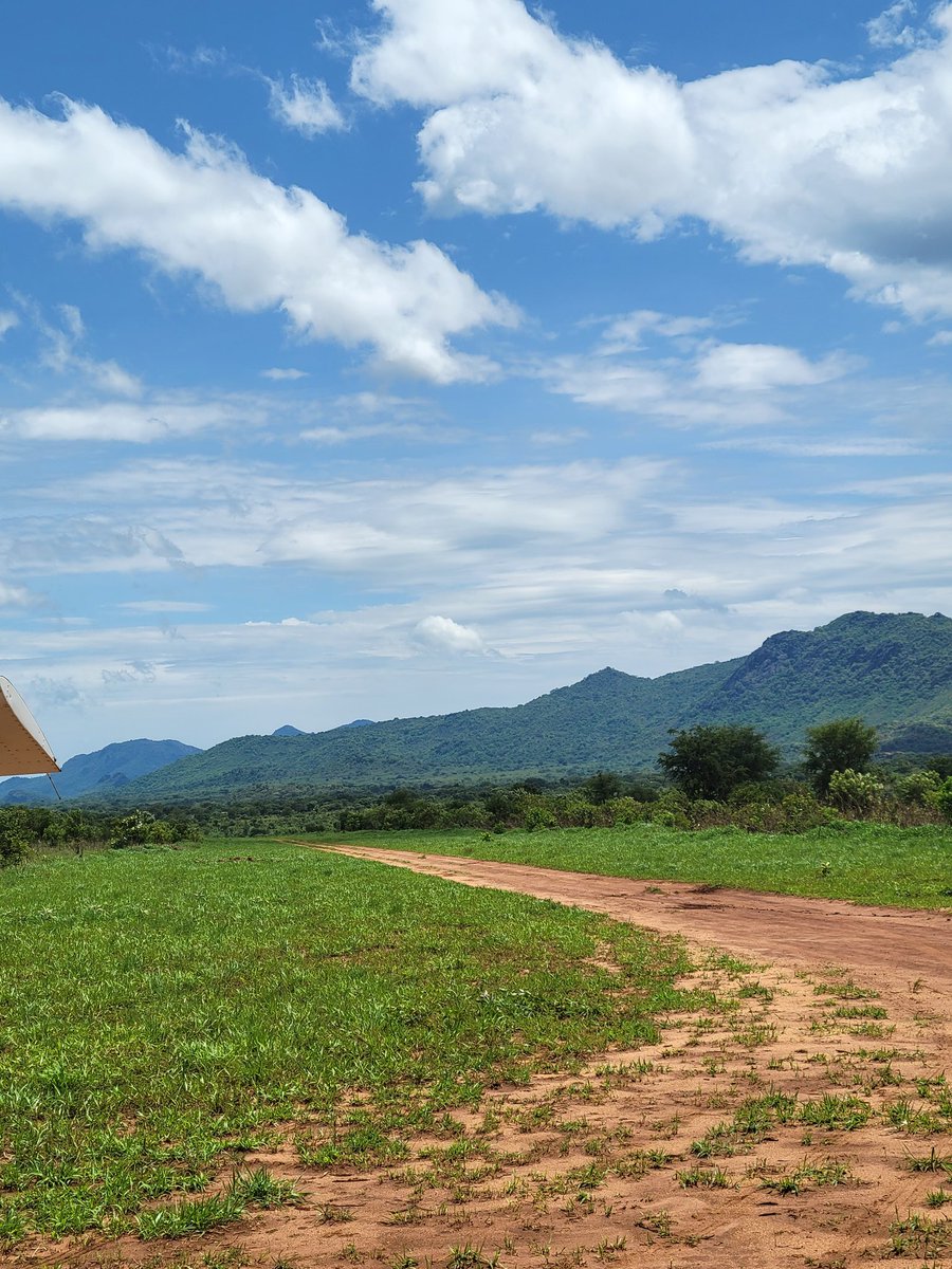NyamuchL's tweet photo. Chukudum airstrip (Budi County, Eastern Equatoria) https://t.co/yR19g5iN0F