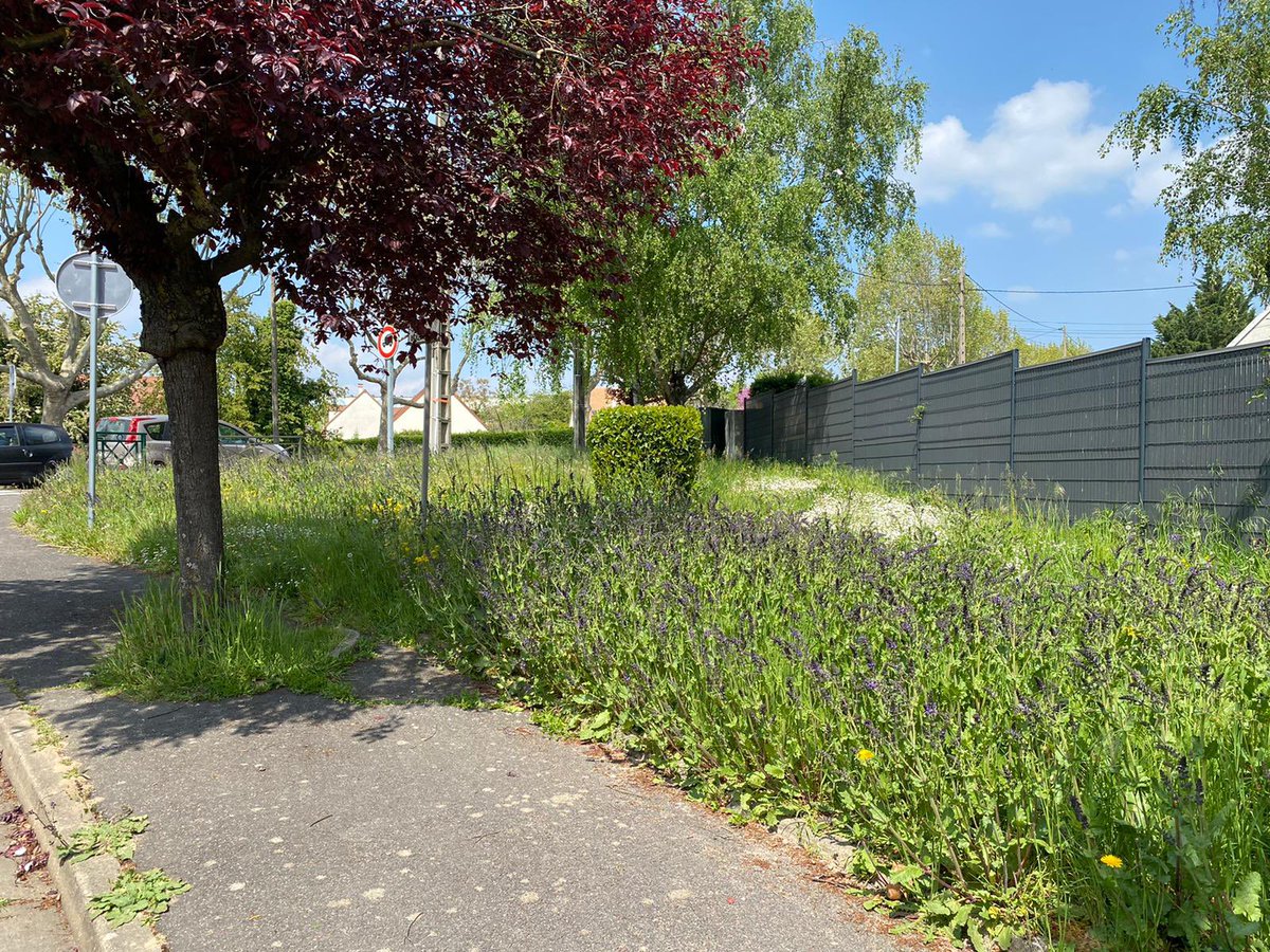 VGargenville's tweet photo. Notre Ville a adopté une nouvelle méthode d’entretien des espaces verts 🌿 Plus respectueuse de l’environnement, elle vise à réduire les tailles et tontes pour protéger les écosystèmes, limiter les pollutions et favoriser la biodiversité 🦋
ℹ️ + infos : https://t.co/0FKr3EoHf9 https://t.co/2HC2kFq2rD