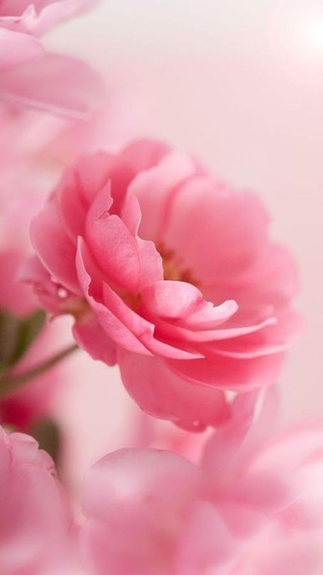 TLeoni311's tweet photo. Beautifull day for all https://t.co/ZrdNh3YBoB