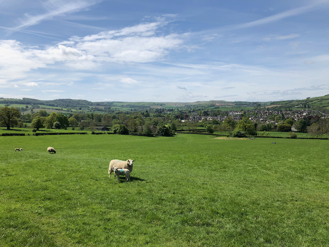 Visit the Walkers are Welcome accredited town of Winchcombe for its award winning Walking Festival 20-22nd May. Lots of lovely walks led by knowledgeable guides. Visit WinchcombeWelcomesWalkers.com for details  # walking #cotswolds  Visit bit.ly/3I6JxTK