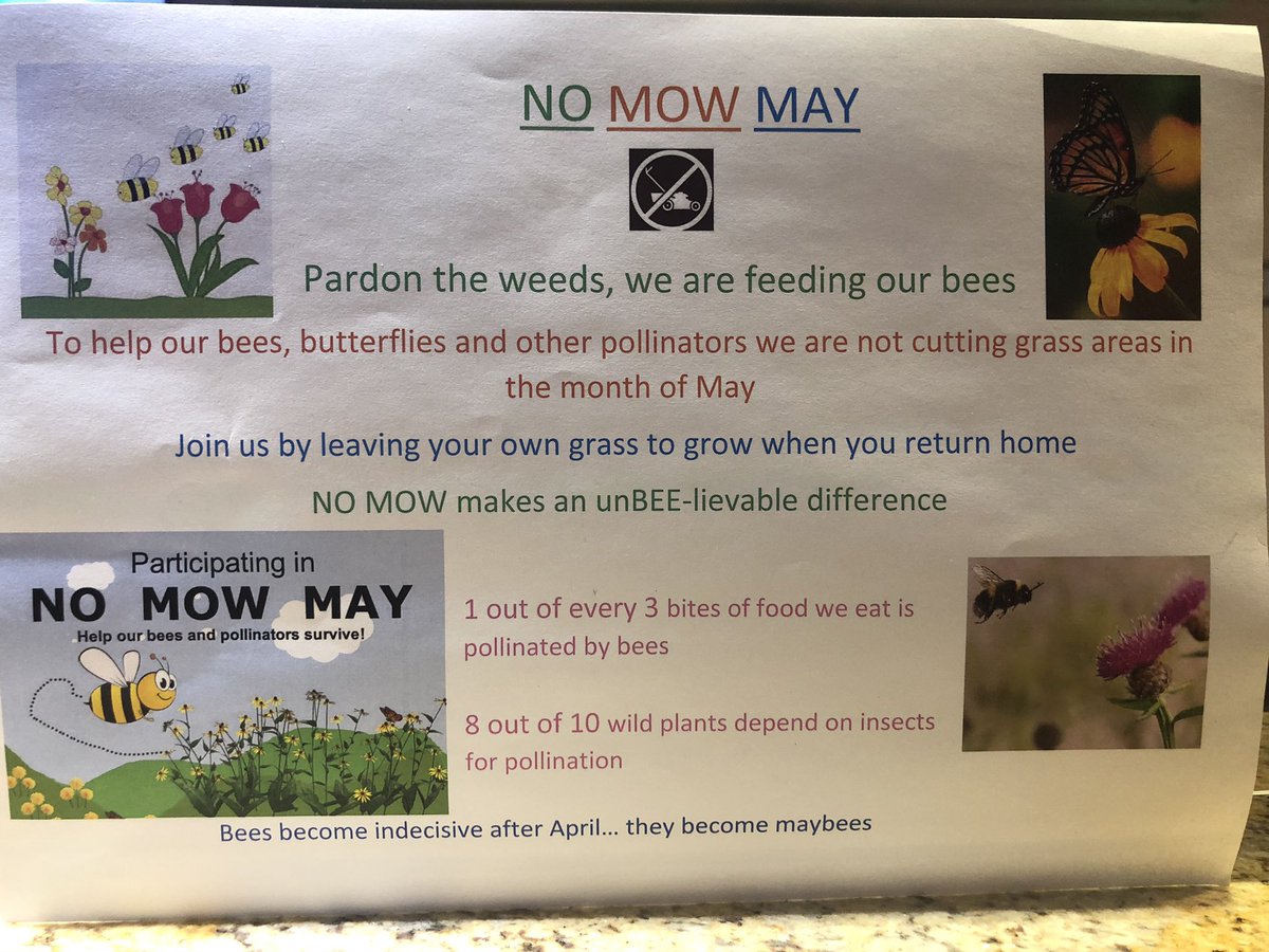 FranTraxton1's tweet photo. No Mow May at #WoodfordBridge to help our bees, butterflies and other pollinators 🐝🦋🪲 #NoMowMay #LetTheGrassGrow #LetTheEarthBreath https://t.co/4ESq9UcfC6