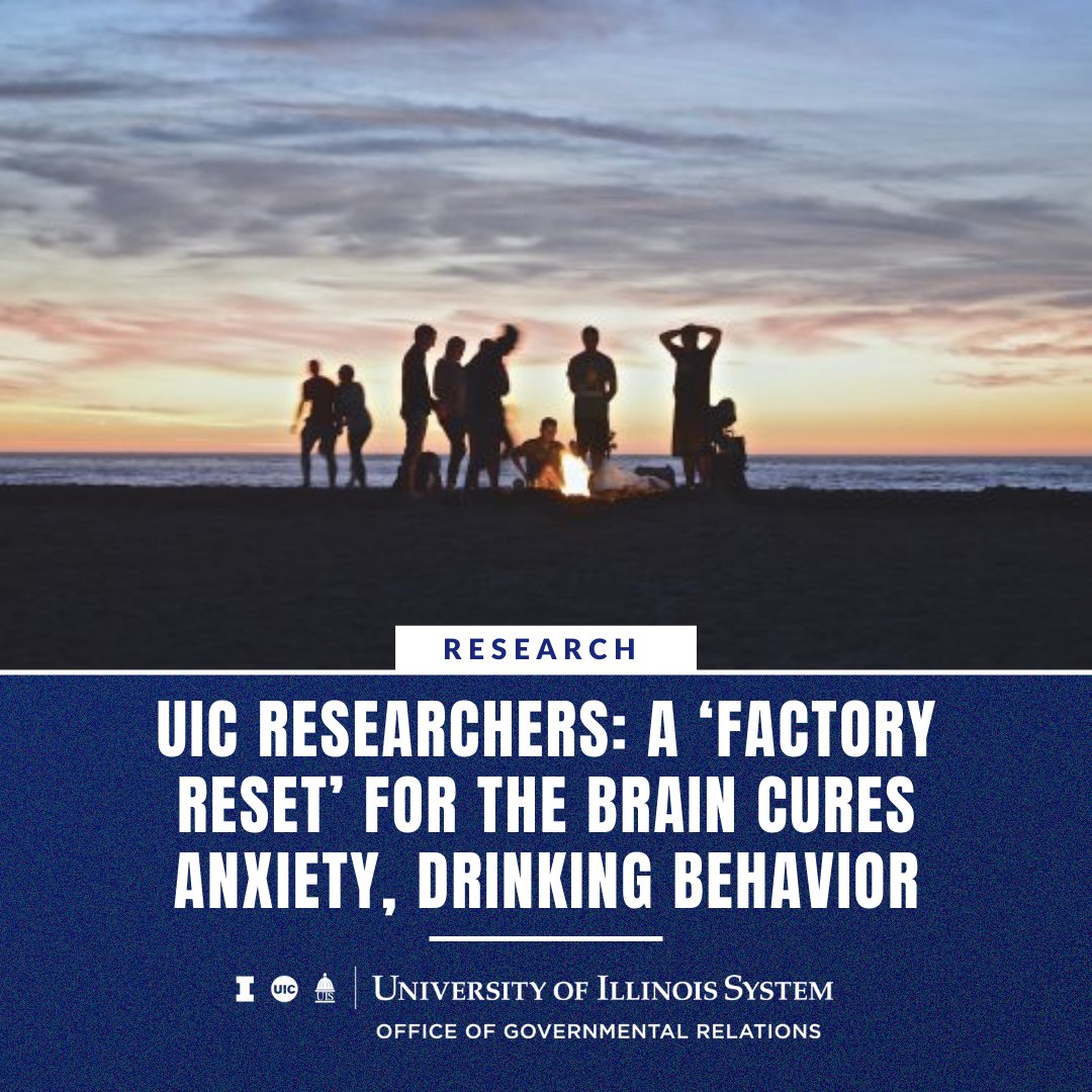 uofigovrelation's tweet photo. This #ResearchWednesday we are highlighting @CareUic researchers who find that gene editing may be a potential treatment for anxiety and alcohol use disorder in adults who were exposed to binge drinking in their adolescence. Read more here: https://t.co/TCnEXpAqx3 https://t.co/vNHe1Do4SY