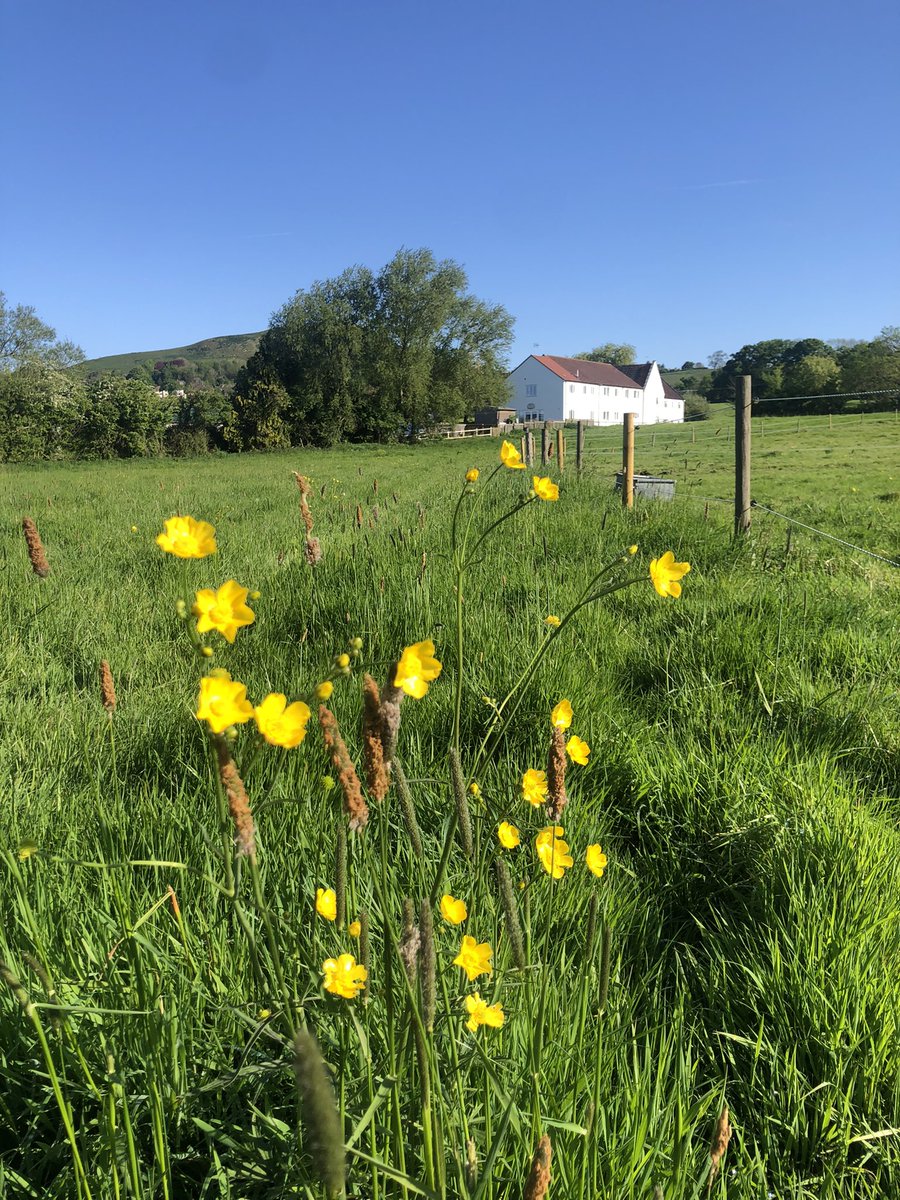 BerewallHouse's tweet photo. Beautiful day for an open day @MillfieldPrep πβοΈπ #berewall #opendays #summermornings https://t.co/DJnKfx0x5F
