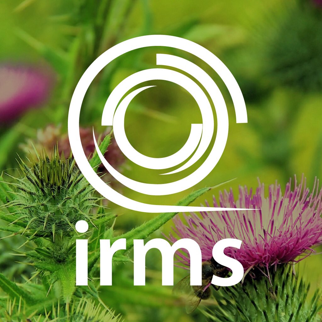 IRMSConference's tweet photo. One week and one day to go!
What are you looking forward to the most? #IRMS22 https://t.co/QcaYlBlSiX