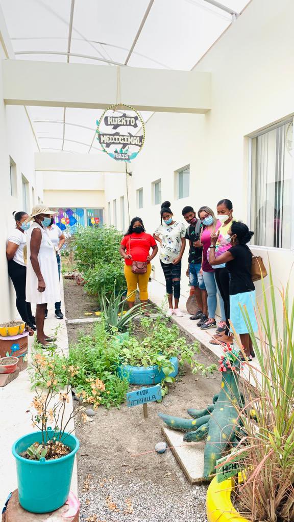 SaludImbabura's tweet photo. #Esmeraldas | 📍Profesionales Tipo C Rioverde #Distrito08D01 Salud En actividades con Parteras 

✅ Fortalecimiento de Huertos Medicinales 
✅ Uso de las plantas medicinales durante el parto 
✅ Beneficios de las plantas medicinales 
✅Interaccion de conocimientos ancestrales https://t.co/S3zLSLjbFZ