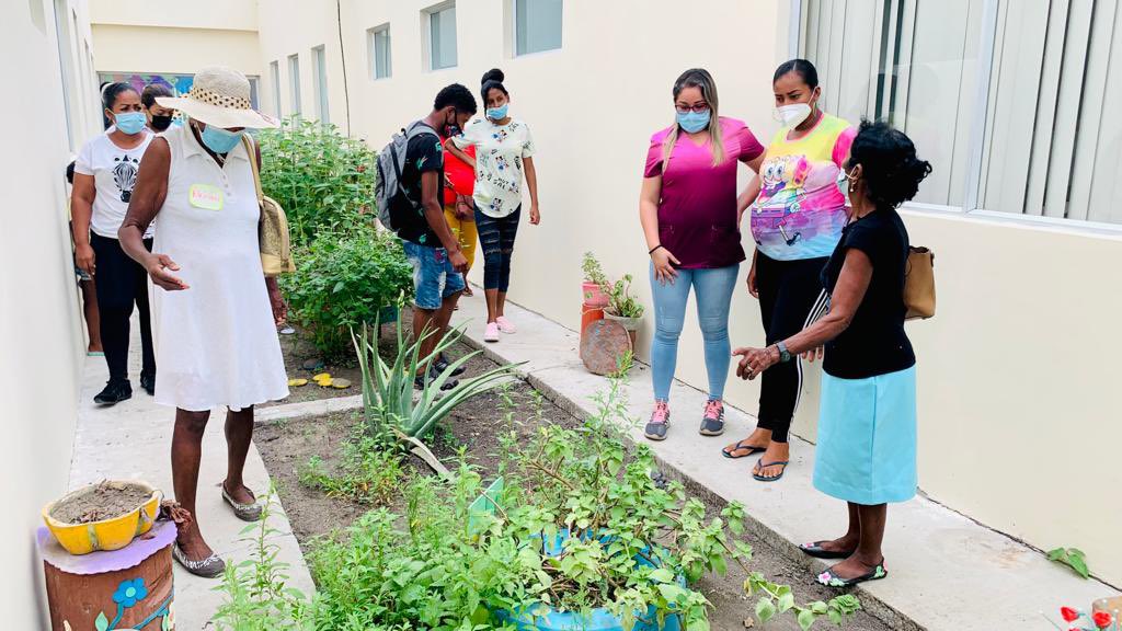 SaludImbabura's tweet photo. #Esmeraldas | 📍Profesionales Tipo C Rioverde #Distrito08D01 Salud En actividades con Parteras 

✅ Fortalecimiento de Huertos Medicinales 
✅ Uso de las plantas medicinales durante el parto 
✅ Beneficios de las plantas medicinales 
✅Interaccion de conocimientos ancestrales https://t.co/S3zLSLjbFZ