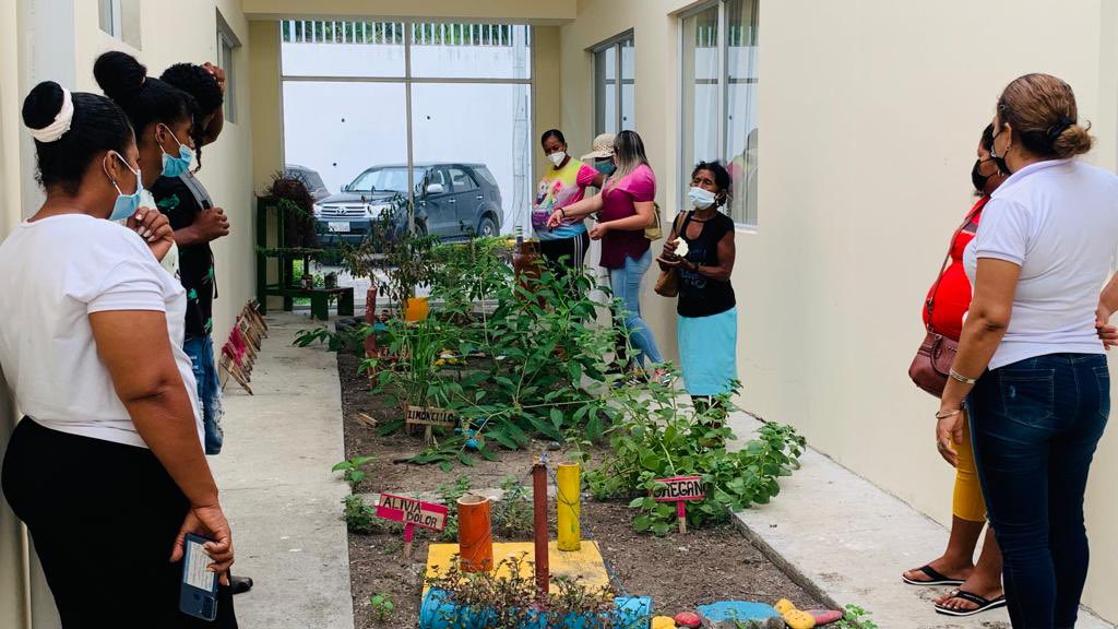 SaludImbabura's tweet photo. #Esmeraldas | 📍Profesionales Tipo C Rioverde #Distrito08D01 Salud En actividades con Parteras 

✅ Fortalecimiento de Huertos Medicinales 
✅ Uso de las plantas medicinales durante el parto 
✅ Beneficios de las plantas medicinales 
✅Interaccion de conocimientos ancestrales https://t.co/S3zLSLjbFZ