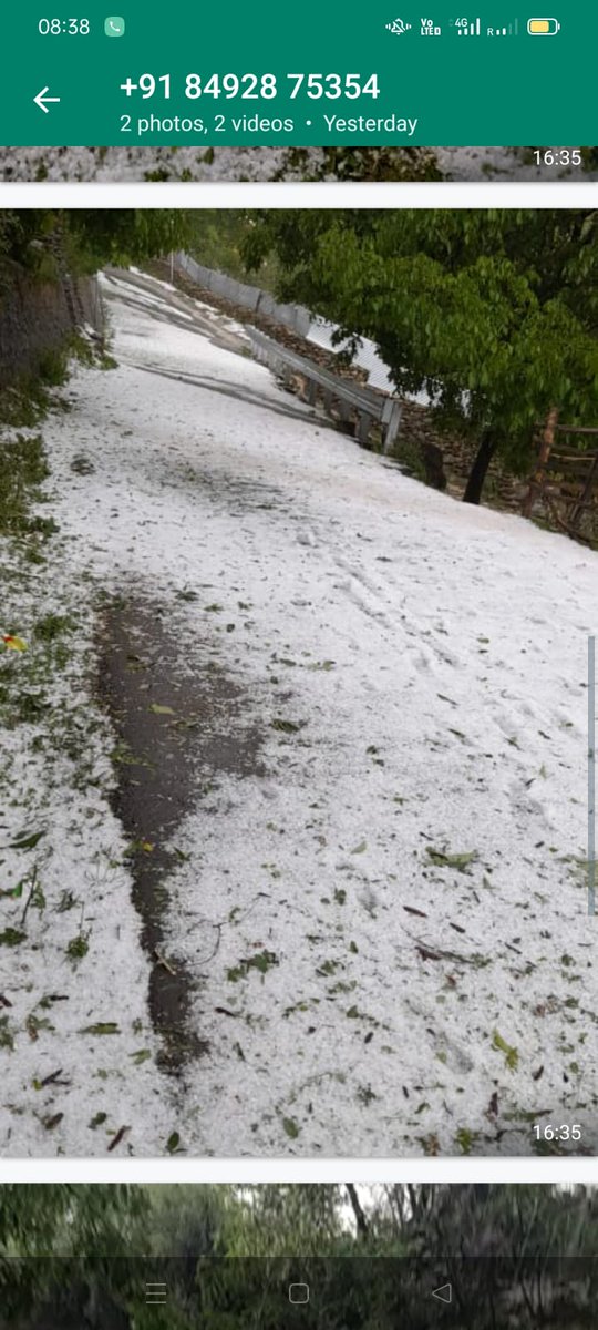 ahsanpardesi's tweet photo. Hailstorm has created havoc and destroyed #cherrycrop in areas of fakir Gujree / Dara in srinagar. This will severely hit thr economy. Request @OfficeOfLGJandK @AsadamAijaz @srinagaradmin @AjazAhmadKas to provide immediate relief /help. https://t.co/VpBTqdDwWS