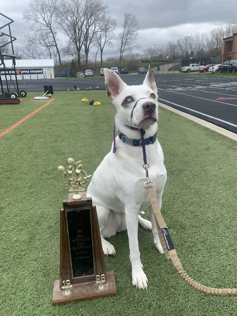 AMESTrack's tweet photo. With so many meets canceled this season, our team put together a mini invitational (aka Karsten Holm Invite part 2).
Events:
-Mile
-4x1
-4x1 with a 🐶
-Race walking
We concluded with trophies and popsicles! #allthingsforgood https://t.co/ydPi4pZTH6