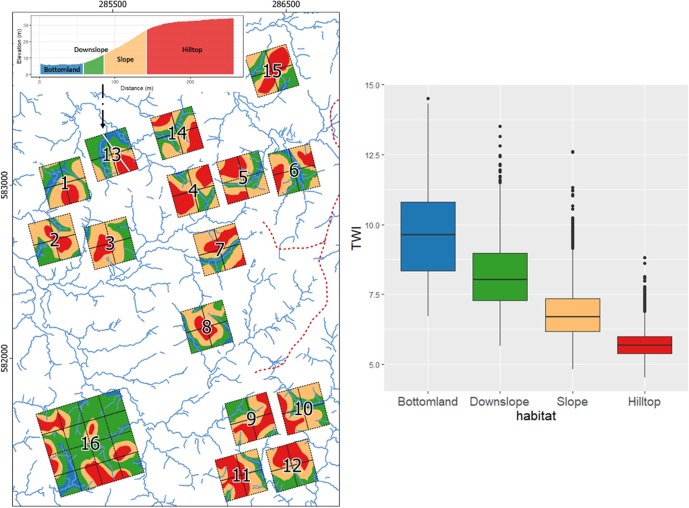 Emilio Vilanova 🌳 tweet media