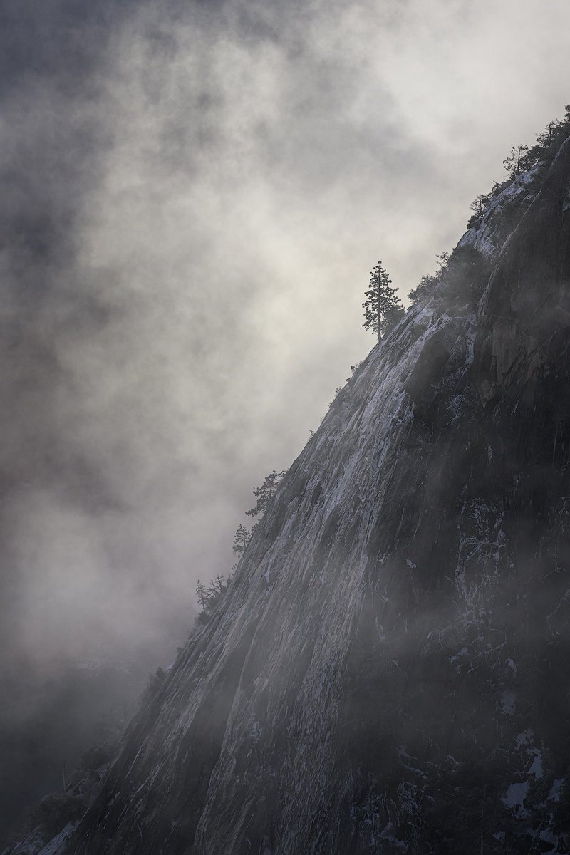 BobBowmanPhoto1's tweet photo. “Living on the Edge”

Yosemite NP, California 

#landscapephotography #photograghy #yosemite https://t.co/19MeWFaXBJ