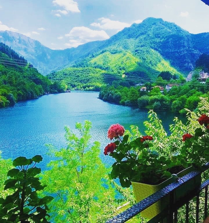 SADEQ_JR's tweet image. أصبحنا و أصبح الملك لله 🌻💙
 
(( لا شيء يزيد الصباح جـمالاً كـ ذكر الله في أوله 🌷))

أسعد الله صباااحكم بكل خير 🌻❤
________________________________
#SADEQ_JR