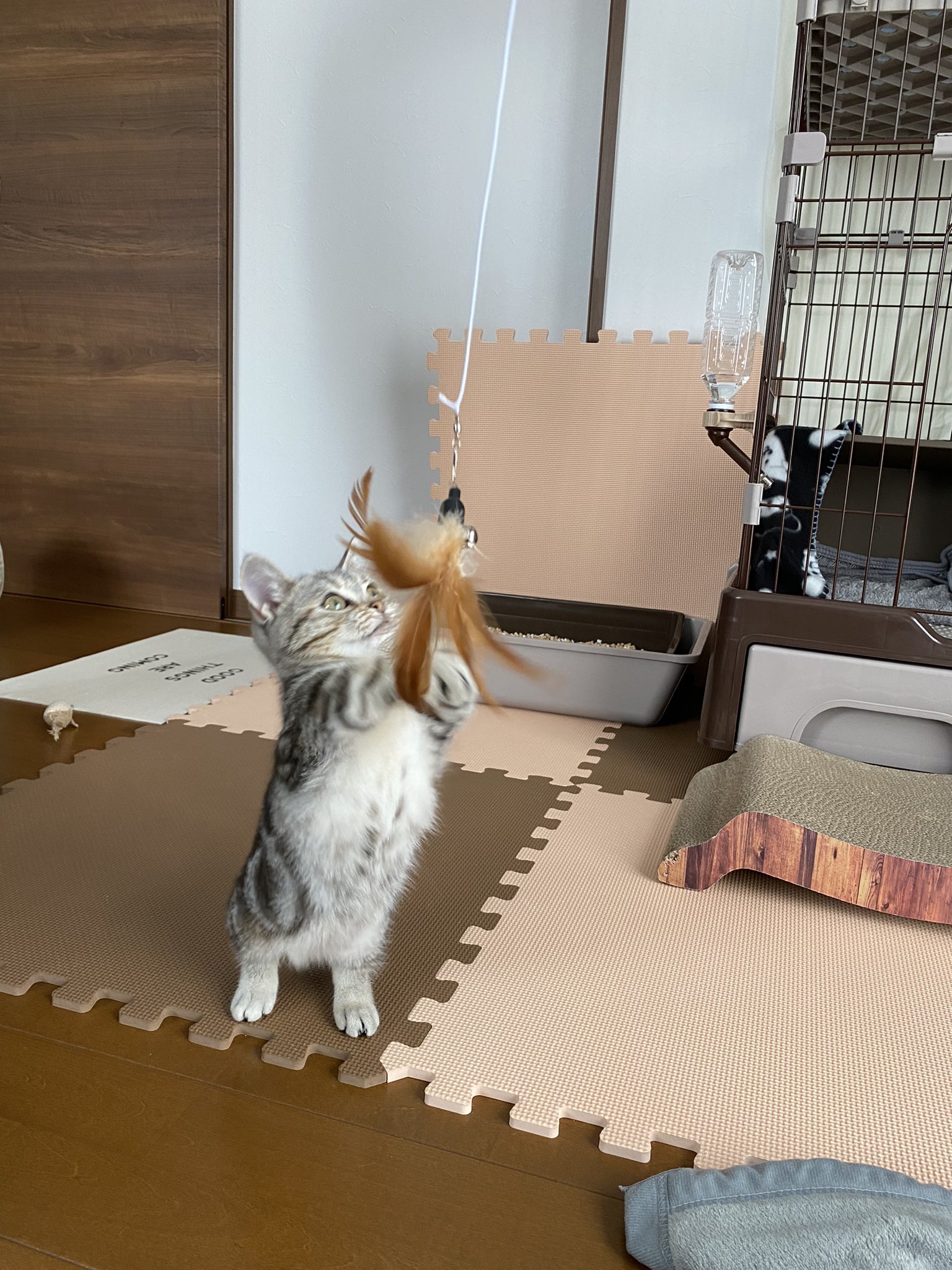 嬉しそうな顔 Twitter Search Twitter