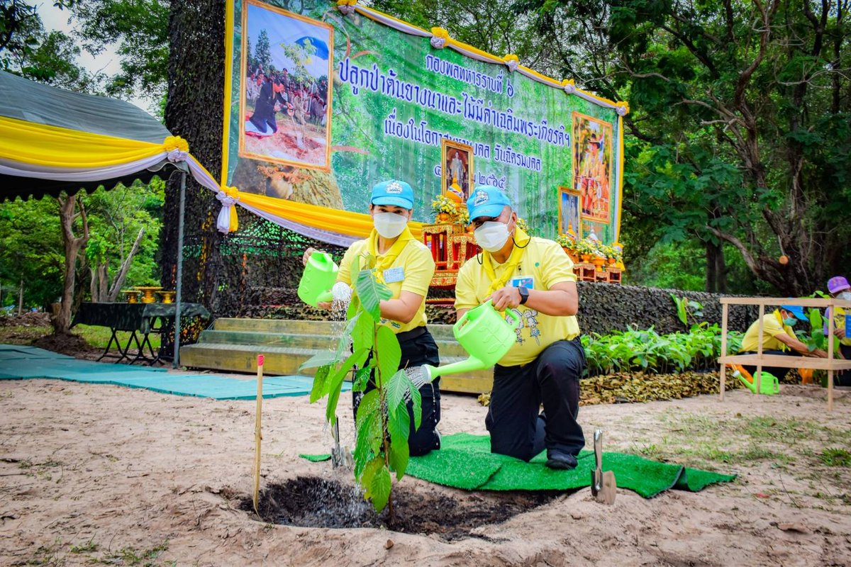 infdiv6's tweet photo. " โครงการปลูกป่าต้นยางนา และไม้มีค่าเฉลิมพระเกียรติฯ"

https://t.co/iR0eS8IrQx

#กองพลทหารราบที่6
#กองทัพภาคที่2 https://t.co/8vZvGBwS3N