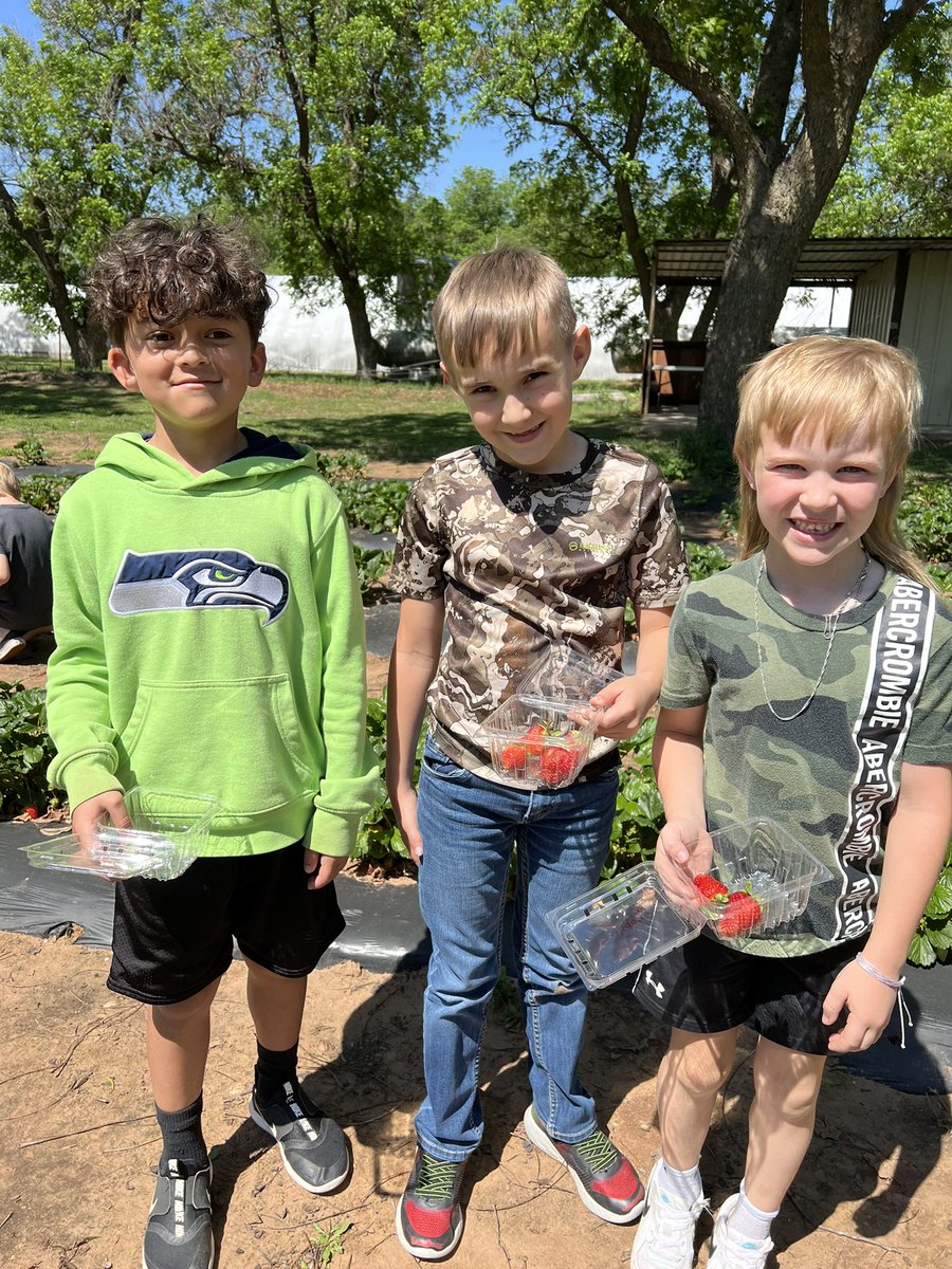 Carly Guilliams tweet media