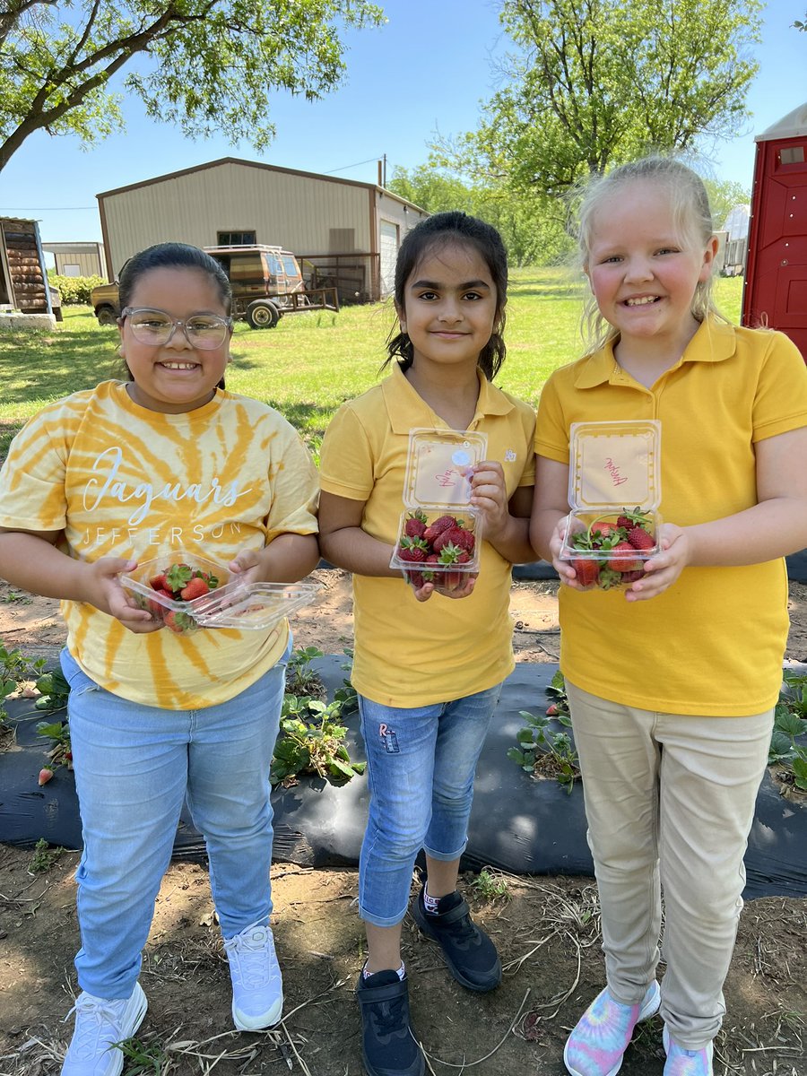 Carly Guilliams tweet media