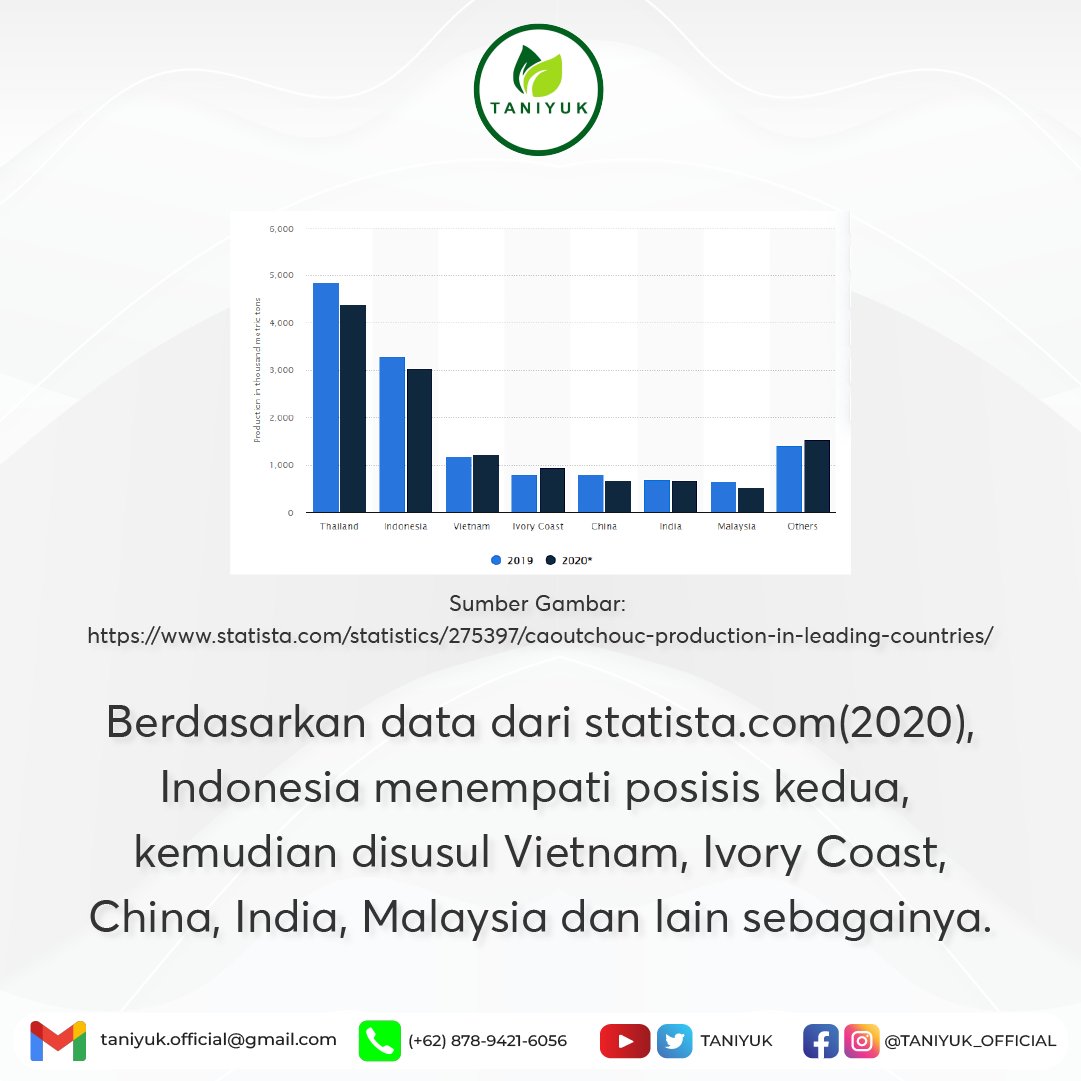 taniyuk's tweet photo. Tahukah kamu kalau Negara Indonesia merupakan sebuah negara produsen karet kedua terbesar di dunia setelah negara Thailand dan berpotensi menjadi produsen karet alam nomor satu dalam dekade-dekade mendatang. 
Taniyuk, Buktikan!
#taniyuk #taniyukforreal #taniyukbuktikan https://t.co/v46gUnq869