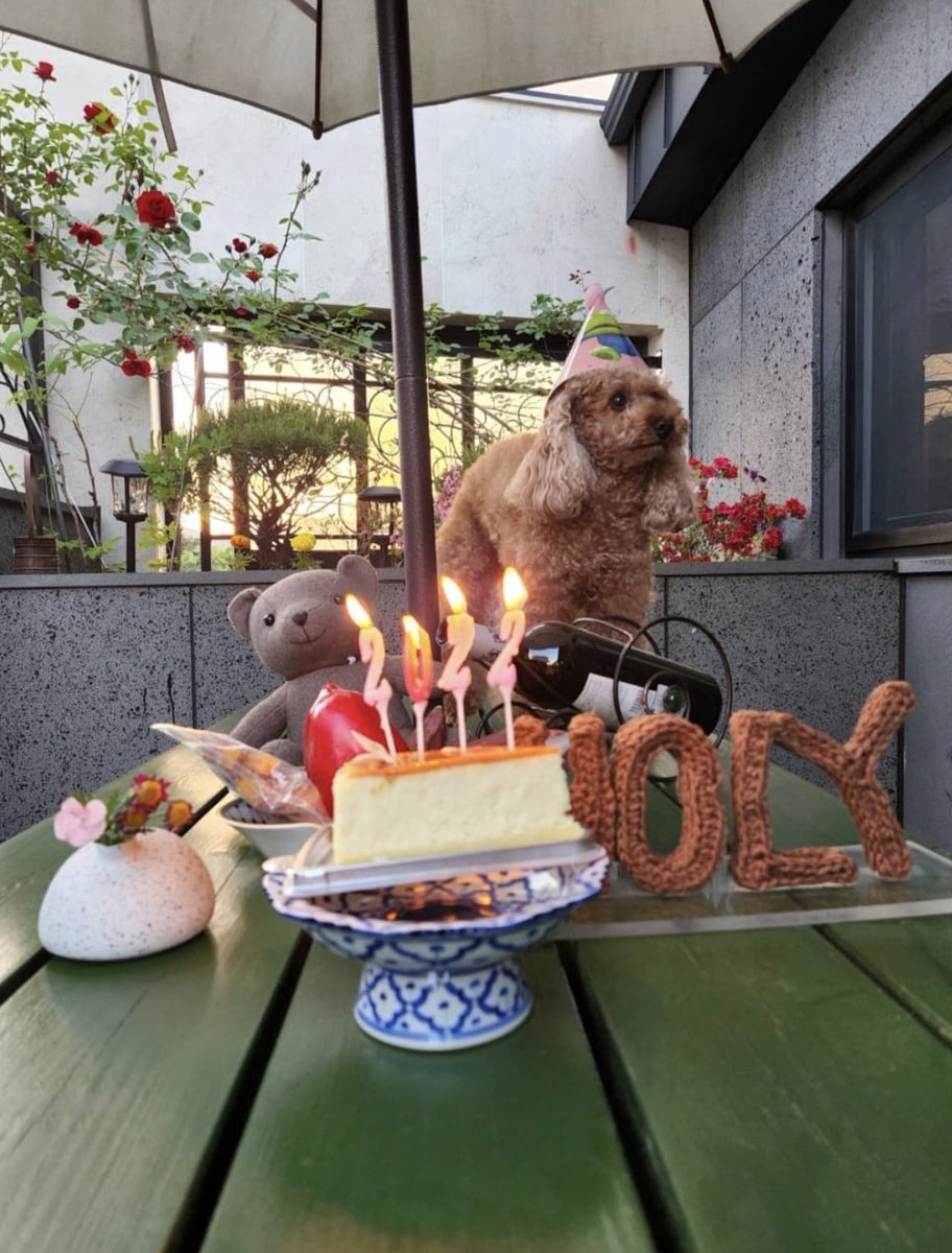 kkukstudio's tweet photo. IT'S MIN HOLLY'S BIRTHDAY 🥹🥳💜 https://t.co/XubYzljFGe