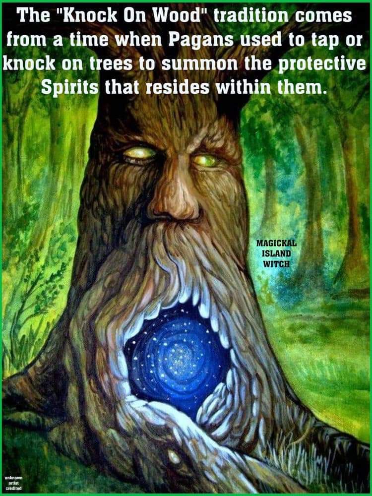 Lisa Coutch (@lisacoutch) on Twitter photo 